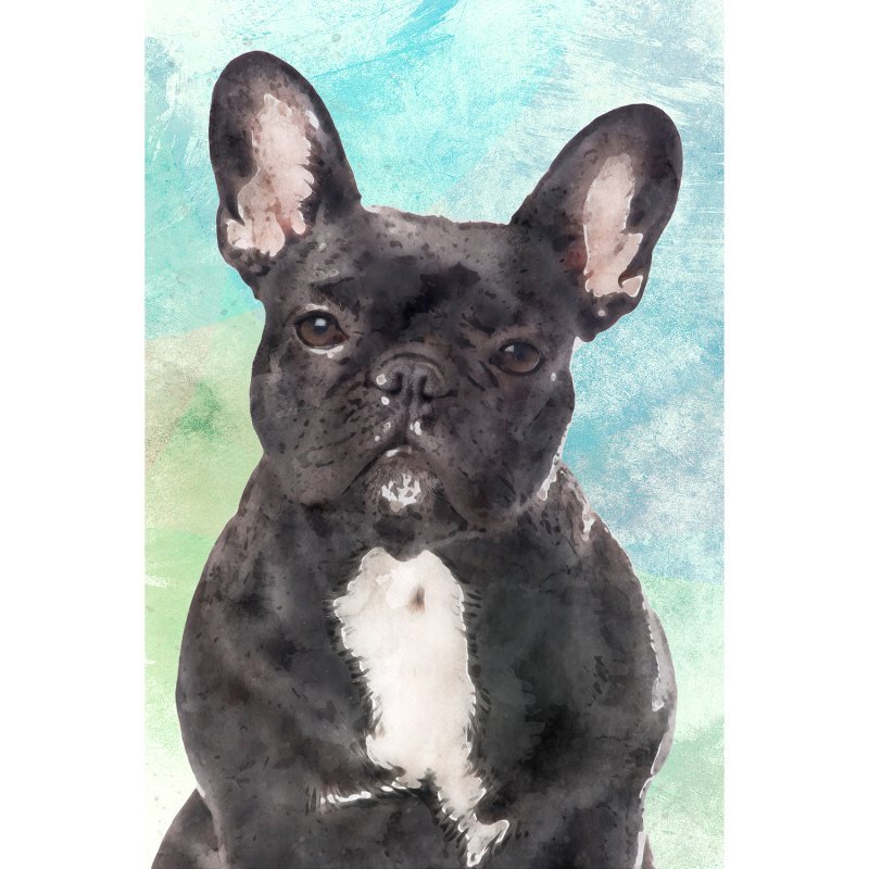 Quadro Cachorro Bulldog Francês Preto Arte Aquarela 60x40